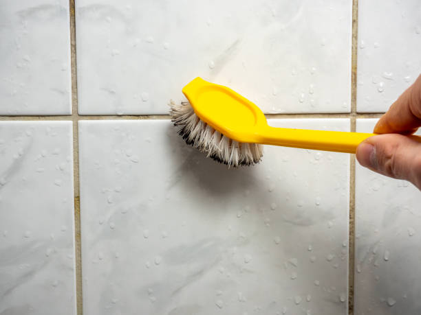 Best Mold Removal Near Me  in Connerton, FL