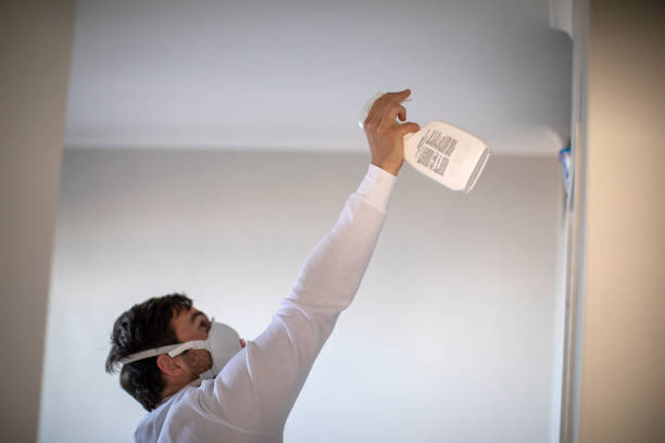 Best Local Mold Removal Service  in Connerton, FL