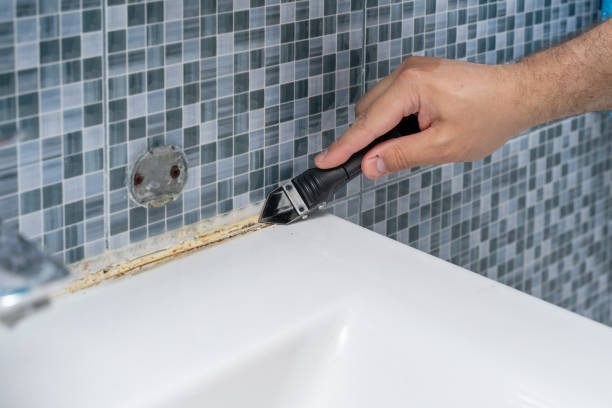 Best Attic Mold Removal  in Connerton, FL